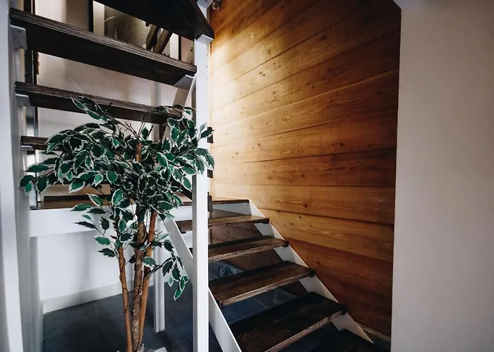 Collection - Ordinance