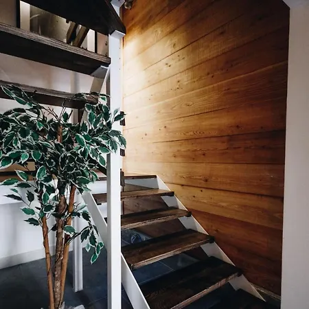 Collection - Ordinance